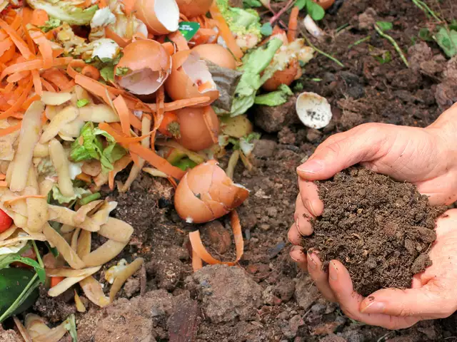 Making-Compost-with-Kitchen-waste