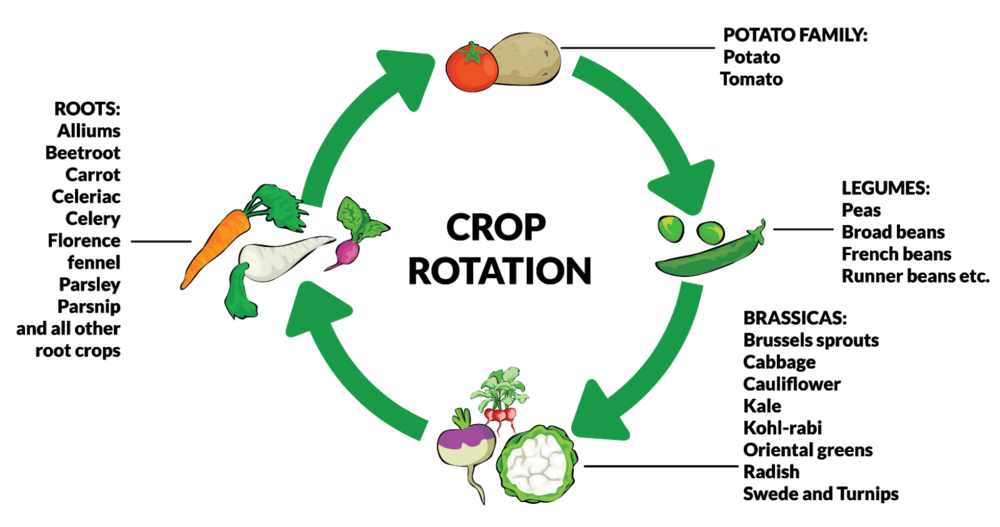 What Is Integrated Pest Management Jai Ho Kisan