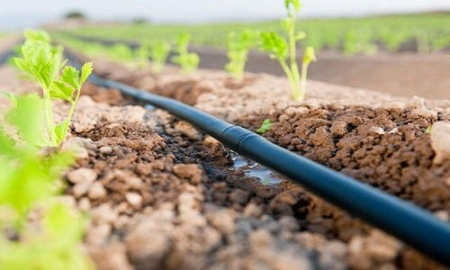 Farm Irrigation