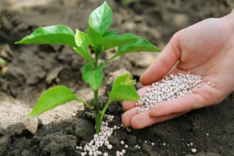 Fertilizers for Agriculture