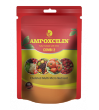 Ampoxcilin – Chelated Multi Micro Nutrient Fertilizer