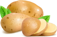 Potato